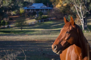 OakHill Homestead and Oakhill Maisonette Homestead open apointment only please call large family groups, functions and weddings